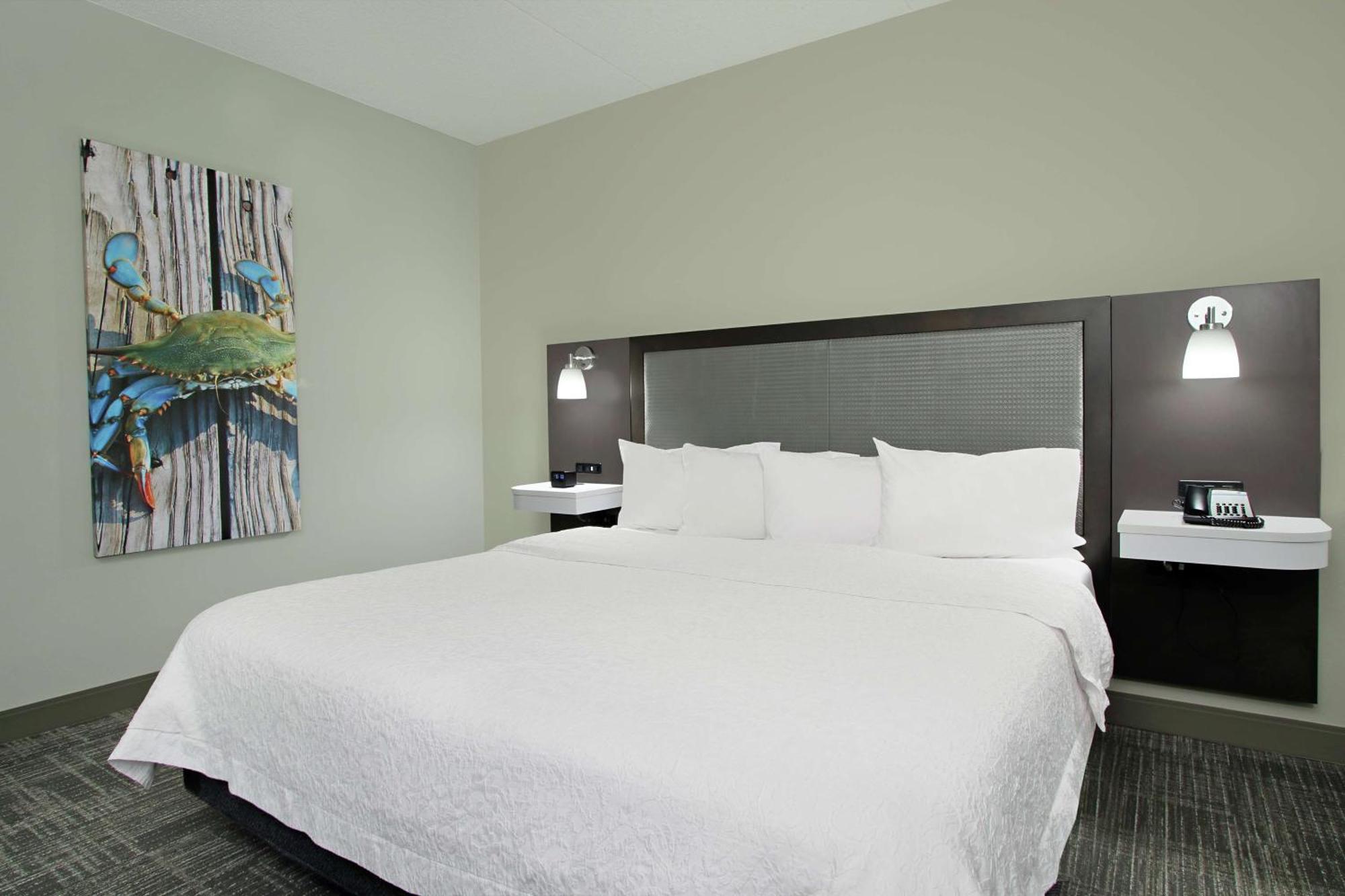 Hampton Inn Hagerstown-Maugansville エクステリア 写真